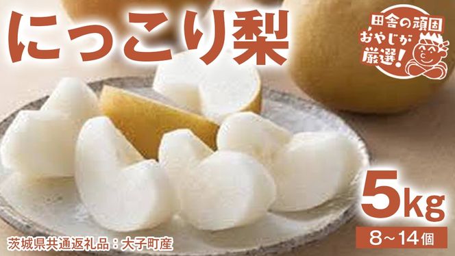 にっこり梨 5kg（8〜14個）【2026年10月より発送開始】（茨城県共通返礼品 [梨]：大子町産）田舎の頑固おやじが厳選！ なし ナシ 果物 フルーツ 茨城県産 [BI430-NT]
