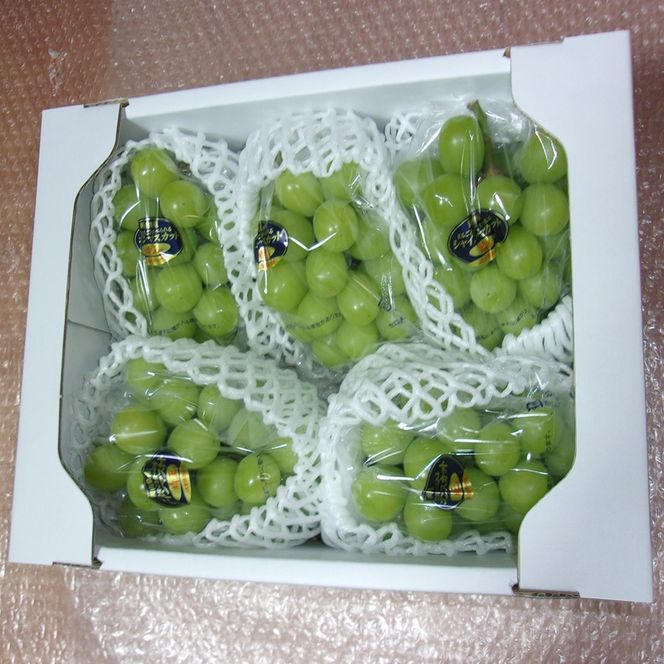 ぶどう 先行予約 訳あり シャインマスカット 約2kg(3～5房) ブドウ 葡萄 岡山県産 国産 フルーツ 果物