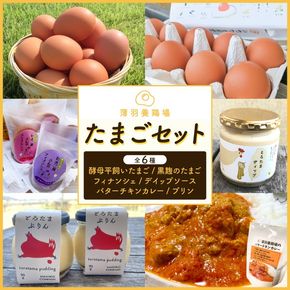 ＼薄羽養鶏場の濃厚たまごを使用／ たまごセット 濃厚たまご＆絶品加工品 6点セット｜栃木県 益子町 たまご 卵 タマゴ 平飼い 酵母平飼い 人気 濃厚 食べチョク カレー チキンカレー プリン とろたまぷりん フィナンシェ 焼き菓子 ディップソース (BC009)