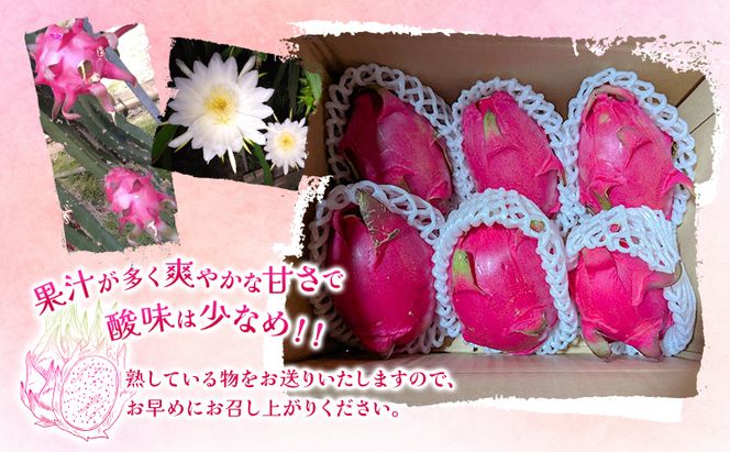 福岡県産 ドラゴンフルーツ ホワイト 2kg (3～7個) 果物 フルーツ ※配送不可:離島