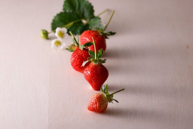 いちご あまおう 270g 4p 計約1kg【2月後半-3月後半発送】 2027年発送 先行予約 [hurrah. 福岡県 宇美町 um40bjm200000] イチゴ 苺 フルーツ 果物 果実 甘い あまい グランデ