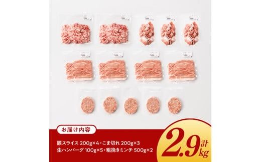 宮崎県産豚肉 「まるみ豚」 肉肉セット計2.9kg 【 肉 豚肉 国産 モモ ミンチ ハンバ―グ スライス こま切れ 弁当 おかず お手軽 真空パック 九州産 宮崎県産 川南町産 送料無料 】[D11519]