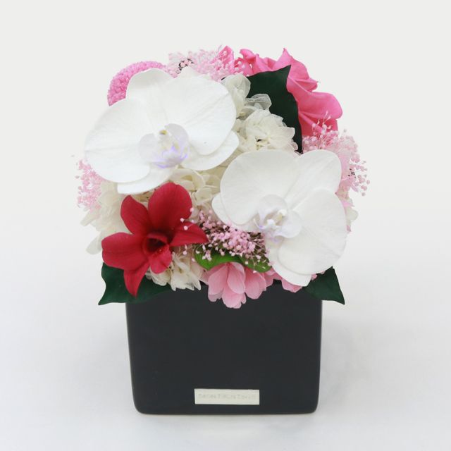 胡蝶蘭キューブM 花 お花 プリザーブドフラワー ギフト プレゼント お祝い 誕生日 お供え アレンジ インテリア 東京都 墨田区