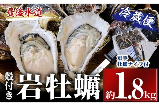 ＜先行予約受付中！2026年6月上旬より順次発送予定＞岩牡蠣 殻付き 大小混合 (約1.8kg) 冷蔵 生食不可 牡蠣 カキ かき 一粒 ひとつぶ 養殖 獲れたて 冷蔵 海の直売所 大分県 佐伯市【AS139】【海べ】