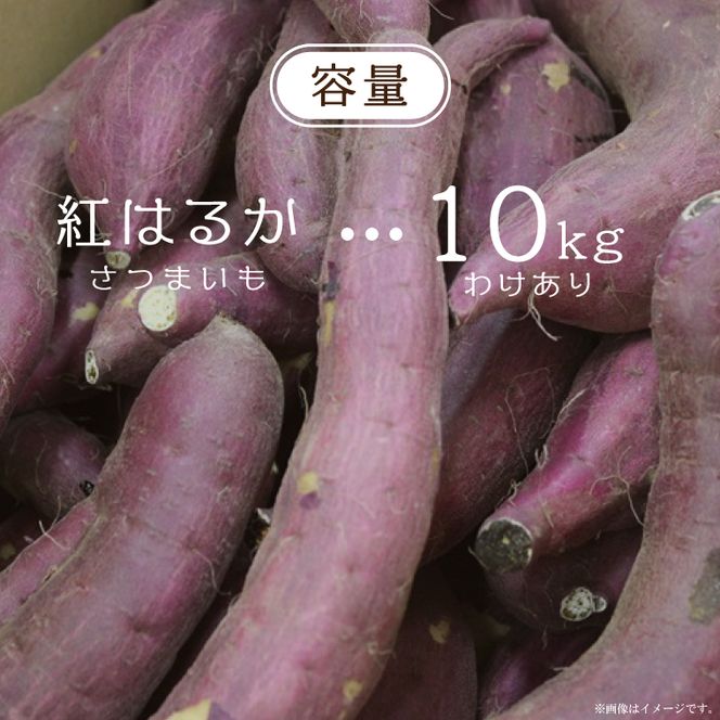 ★訳あり★【2026年1月より順次発送】【訳あり】農産物直売所「やさいの声」熟成紅はるか　洗い　約10kg|さつまいも サツマイモ 紅はるか 熟成 洗い 行方市 ふるさと納税(EK-13)