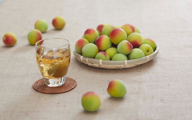 チョーヤ　TheCHOYA熟成一年本格梅酒ソーダ缶 350ml×24本 【igge0017】