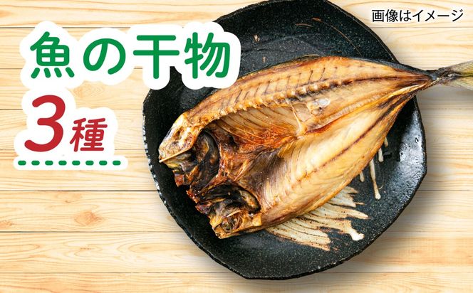 【全12回定期便】糸島産 魚 米 野菜 果物 厳選詰め合わせ MINORI BOX Mサイズ 糸島市 / emma.Inc / 米 魚 野菜 果物 詰め合わせ[AOP026]