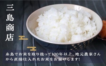 【月2回お届け】【全24回定期便】糸島産 夢つくし 5kg 12ヶ月コース 糸島市 / 三島商店 [AIM028] 米 白米