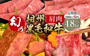 【牛肉 定期便 6回】 幻の相州黒毛和牛肩肉 800g×6回 計4.8kg【相州黒毛和牛 相州牛 幻の牛肉 極上の旨味と風味 キメ細かな上質の脂 様々な料理に ブランド牛 ブランド牛肉 神奈川特産品 神奈川県 小田原市 】 142069_BL036