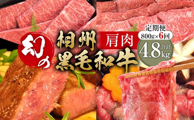 【牛肉 定期便 6回】 幻の相州黒毛和牛肩肉 800g×6回 計4.8kg【相州黒毛和牛 相州牛 幻の牛肉 極上の旨味と風味 キメ細かな上質の脂 様々な料理に ブランド牛 ブランド牛肉 神奈川特産品 神奈川県 小田原市 】 142069_BL036