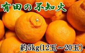 ZD6117n_【濃厚】有田の 不知火 約5kg（12玉～20玉おまかせ）【でこぽん デコポン しらぬい 不知火 柑橘】