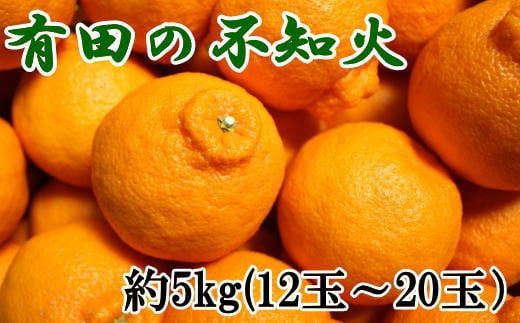 ZD6117n_【濃厚】有田の 不知火 約5kg（12玉～20玉おまかせ）【でこぽん デコポン しらぬい 不知火 柑橘】