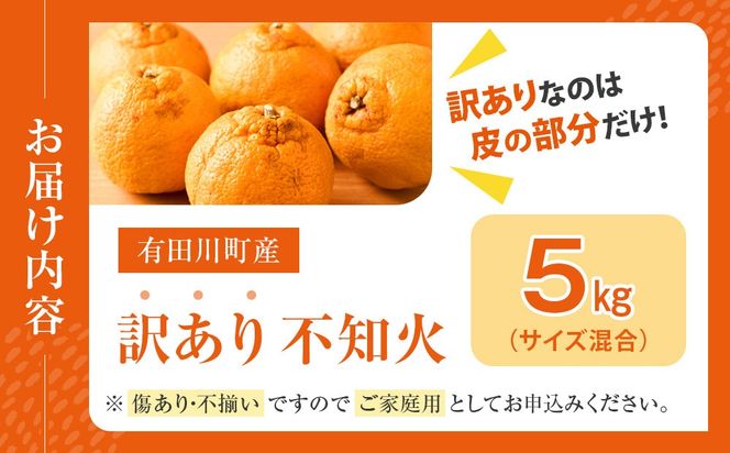 不知火(しらぬい) オレンジ みかん 訳あり 5kg サイズ混合 CE013
