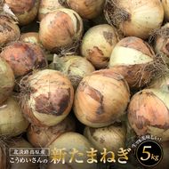 【新玉ねぎ】こうめいさんの玉ねぎ5kg【発送時期2026年4月下旬～6月上旬頃】
