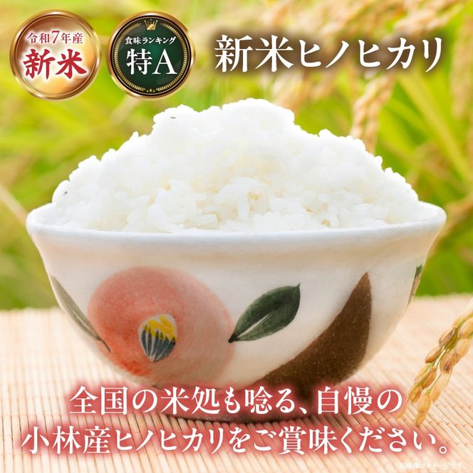 【定期便 全3回】令和7年産米 ヒノヒカリ 5kg×3回 計15kg（お米 米 新米 ヒノヒカリ 国産 人気 お弁当 宮崎県 小林市）
