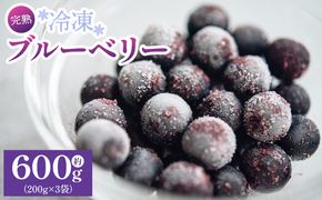 完熟 冷凍ブルーベリー 約600g(200g×3) - フルーツ 果物 くだもの おやつ スイーツ デザート スムージー ヨーグルト ジャム 国産 高知県産 柳本果樹園 高知県 香南市 冷凍 yg-0027