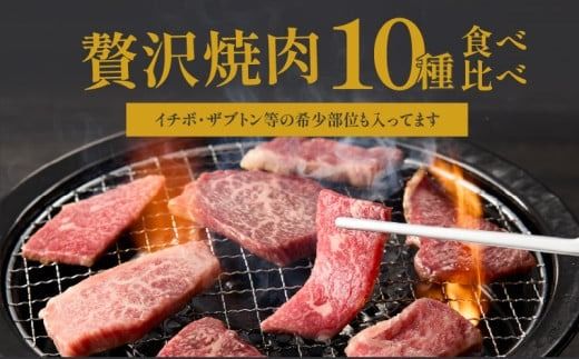 【希少部位含む！】おおいた和牛 10種盛りセット_2503R