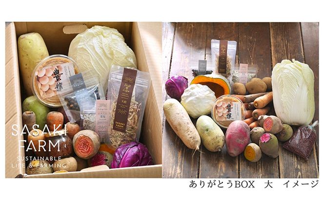 旬の野菜詰め合わせ ～ありがとうBOX2026・大～ 12月1日～1月31日頃お届け 先行予約 北海道 野菜 やさい 詰め合わせ セット 北海道産 常備菜 加工品 自然栽培 佐々木ファーム 産地直送 洞爺湖町