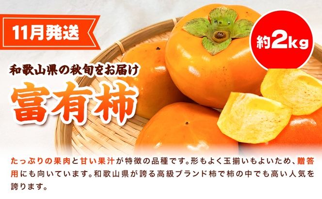 【定期】紀州和歌山産 旬のフルーツセット(せとか 桃 富有柿) 約6.5kg 株式会社魚鶴商店《3月上旬-12月上旬頃出荷》和歌山県 日高川町 柿 富有柿 せとか 桃 もも フルーツ---wshg_uot108tei_26_49000_3711y3---