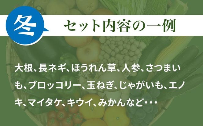 【10回定期便】 豪華！野菜 果物 きのこセット 15品目以上  / 野菜定期便 やさい定期便 フルーツ 果物 キノコ 詰め合わせ / 南島原市 / 吉岡青果[SCZ025]