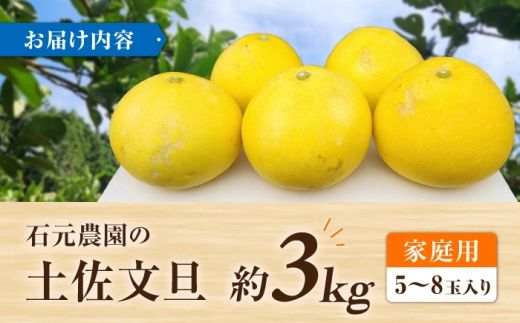 【先行予約】石元農園の土佐文旦 家庭用 約3キロ〈2027年2月～発送〉/ 期間限定 土佐文旦 文旦 3kg ブンタン ぶんたん 果物 柑橘 フルーツ 高知県産 家庭用 おいしい 【石元農園】 [BQBH006]