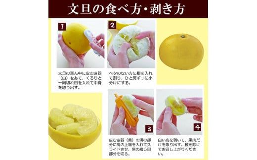 【先行予約】温室土佐文旦 2L～4L 約10kg（16～20個入り）〈2026年12月上旬～12月下旬頃〉/ 高糖度 温室 ブンタン ぶんたん 土佐文旦 ハウス文旦 約10キロ フルーツ 果物 くだもの 柑橘 旬 高知県 土佐市【白木果樹園】 [BQAI041]