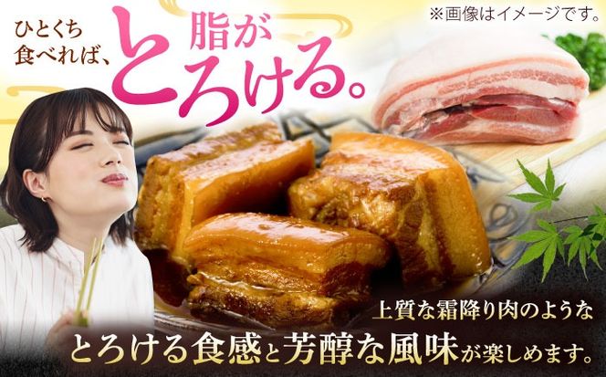 沖縄県産豚肉 豚バラブロック 約1.8kg (900g×2P) 豚肉 豚バラ バラ肉 ブロック ブロック肉 小分け 冷凍 国産 沖縄市 / 宮城ふぁーむ[BCAJ007]