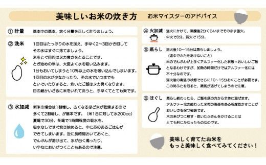 【 定期便 3ヶ月】 茨城県筑西市産 コシヒカリ5kg 三ツ星 マイスター 米 コメ こしひかり 定期便3回 15kg 茨城県 単一米 精米 新生活 応援 [CH005ci]