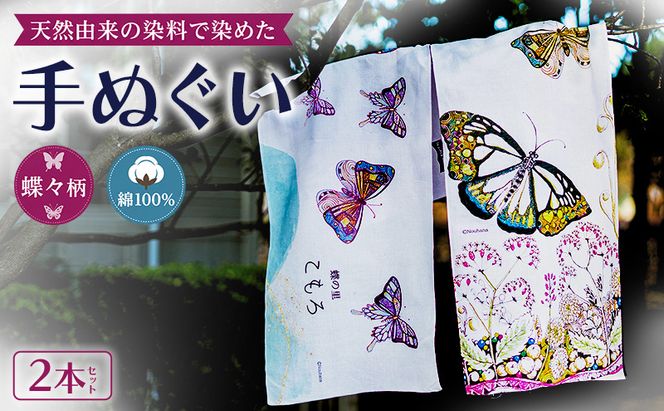 【農花第2弾】　天然由来の染料で染めた手ぬぐい2本セット 【蝶々柄】　手拭い　おしゃれ　てぬぐい　綿　信州　長野県　小諸市
