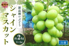 【C-169】シャインマスカット(ぶどう)約2kg＜2025年9月から発送開始分先行予約＞