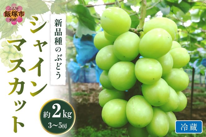 【C-177】シャインマスカット(ぶどう)約2kg＜2026年9月から発送開始分先行予約＞