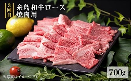 美味しさ 満載 ！ 贅沢お 肉 セット の 定期便 全5回 （月1回） 4人 家族用 【福岡 糸島産 牛肉 豚肉 鶏肉 ステーキ しゃぶしゃぶ すき焼き ヒレ シャトーブリアン ロース】 《糸島》 【糸島ミートデリ工房】 [ACA083] 定期便 博多和牛 豚 地 鶏 牛肉 焼肉 ステーキ すき焼き しゃぶしゃぶ 国産