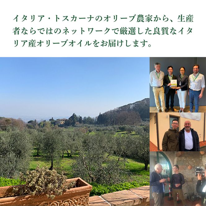 産地厳選 イタリア産エキストラバージンオリーブオイル 450g×3個 【12月中旬より順次発送】調味料 油 オリーブ油 食用油 静岡県 袋井市