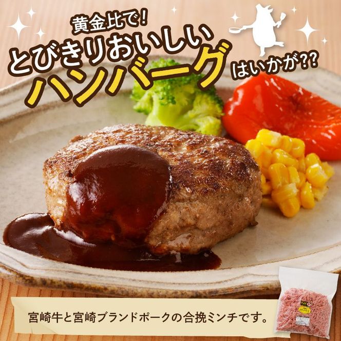 宮崎牛･宮崎ブランドポーク合挽ミンチ1kg N061-YA5509