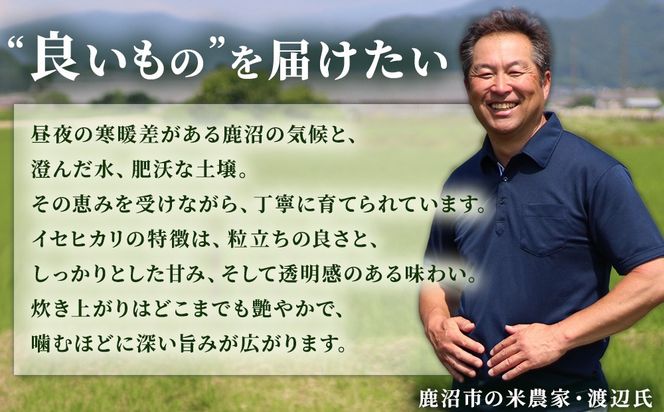 令和7年度産 伊勢ひかり 精米4kg | 白米 栃木 鹿沼市直送