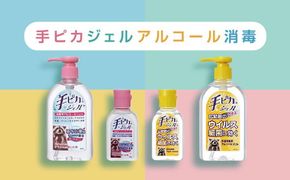 【000360】手ピカジェルセット【アルコール消毒】（指定医薬部外品）