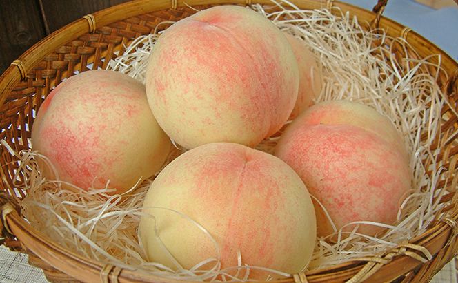 桃 2026年 先行予約 白桃 白鳳 約3.0kg 10～12玉 もも 岡山県 赤磐市産 フルーツ 果物 あかいわファーマーズガーデン 果物類