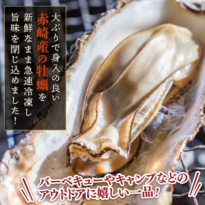 殻付き牡蠣 12個 カンカン焼きおかわり用 加熱用 殻付き牡蠣 加工食品 冷凍 鍋 かき 牡蠣 カキ  オイスター oyster アヒージョ バーベキュー BBQ フライ 揚げ物 ごはん 夕飯 おかず おつまみ 晩酌 米 丼 海産物 海鮮 魚介 魚介類 贈答品 お中元 大船渡 三陸 岩手県 国産［kama042］
