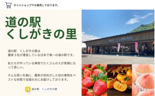 【先行予約】【数量わずか】樹上完熟しらぬい（不知火） 5個~8個 秀品 2027年2月末～2027年3月末頃に順次発送予定（お届け日指定不可）/ 和歌山 みかん しらぬい 不知火 フルーツ 柑橘 蜜柑 果物 くだもの【kgr014】