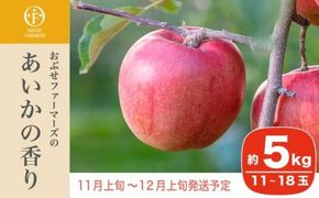 あいかの香り 約5kg 11～18玉 ［おぶせファーマーズ］ 果物 フルーツ りんご 林檎 リンゴ 長野県産 信州産 令和7年産 【2025年11月上旬～12月上旬発送】 ［F-234］
