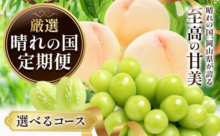 フルーツ 厳選 晴れの国定期便 シャインマスカット 白桃 米 無洗米 2回 3回 お届け 定期便 [ページ内記載の時期に発送] 果物 マスカット 桃 岡山県 笠岡市---kasaoka_zsytei_356_ume2---