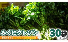 みくにクレソン100g×30袋 美容 健康 野菜 スーパーフード クレソン [CY006ci]