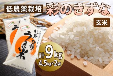 新米 低農薬栽培の彩のきずな《玄米》9kg (4.5kg×2袋)｜おいしい お米 コメ こめ ご飯 ごはん 白米 玄米 お取り寄せ 直送 贈り物 贈答品 ふるさと納税 埼玉 杉戸 [0551]