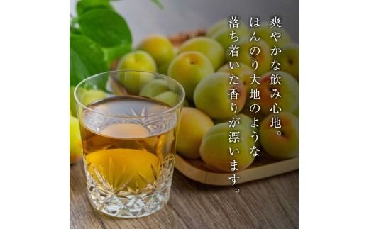 知多梅酒720ml×1本 梅酒 お酒 國盛 國盛FARM 果実酒 食前酒 リキュール ロック ソーダ割 紅南高梅 南高梅 完熟梅 フルーツ 愛知県 美浜町 中埜酒造