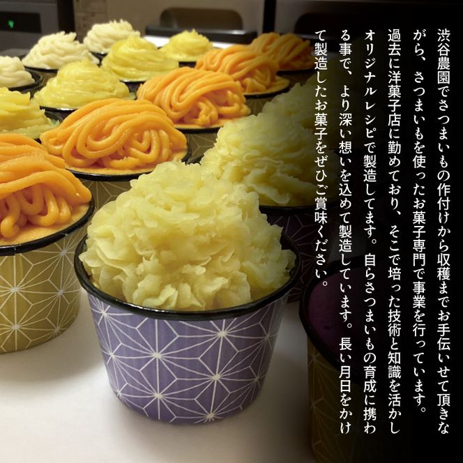 EI-3　焼き菓子・5色のミニモンブラン・行方産焼き芋２倍セット