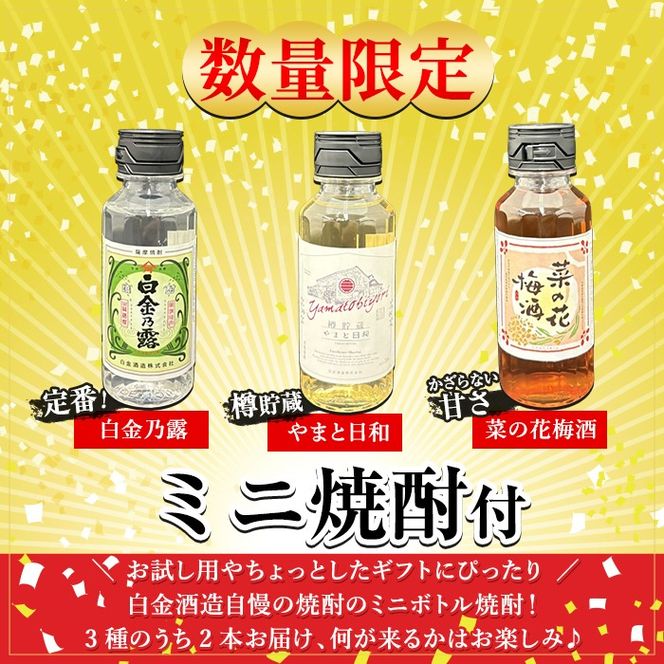 a475 《数量限定！ミニ焼酎ランダム2本付き》本格焼酎飲み比べ！白金酒造の定番芋焼酎白金乃露・白金乃露黒(各900ml)と白金酒造のいも焼酎で作った菜の花梅酒(500ml)【白金酒造】