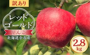 【先行予約：2026年10月中旬より発送】訳アリ りんご（レッドゴールド）2.8kg【北海道余市町産】_Y103-0084
