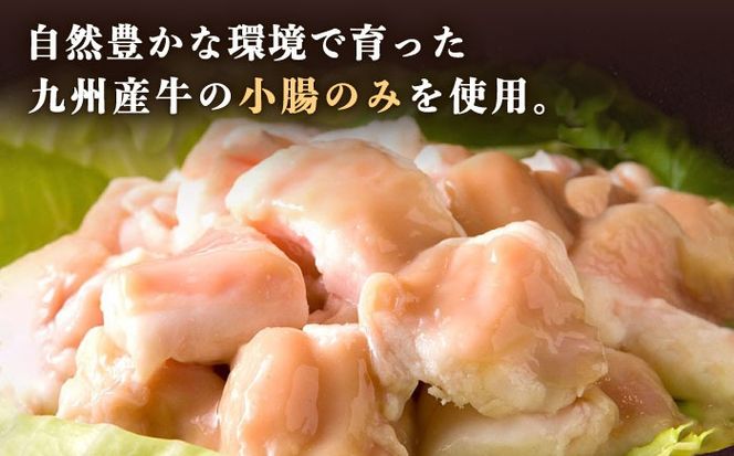 【全12回定期便】【本場博多で歴史のある 博多 浜や】 国産 ・ 無添加 もつ鍋 セット （約4人前） 旨辛みそ味 糸島市 / 博多 浜や [AFF023] もつ鍋 もつなべ 鍋セット なべ モツ 冷凍 牛 うし