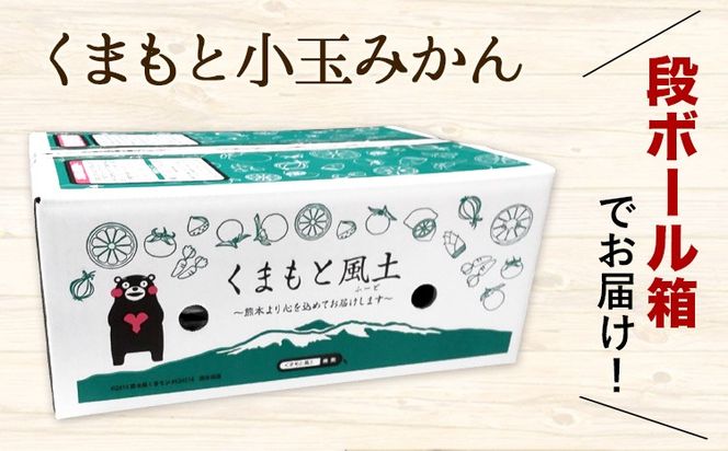 訳あり みかん 小玉みかん くまもと小玉みかん 2.5kg (2.5kg×1箱) 秋 旬 不揃い 傷 ご家庭用 SDGs 小玉 たっぷり 熊本県 産 S-3Sサイズ フルーツ 旬 柑橘 長洲町 温州みかん《10月下旬-11月中旬頃出荷》---fn_nkomikan_h10_24_4500_2500g---