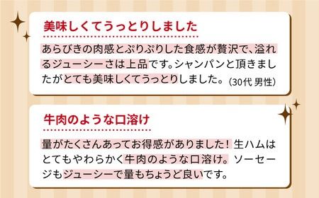 ＼1週間以内に発送／【本場ドイツで連続金賞受賞】生 ウインナー 5種 30本 + 生ハム 詰め合わせ セット 糸島 / 糸島手造りハム [AAC004] 贈答 ギフト ランキング 上位 人気 おすすめ